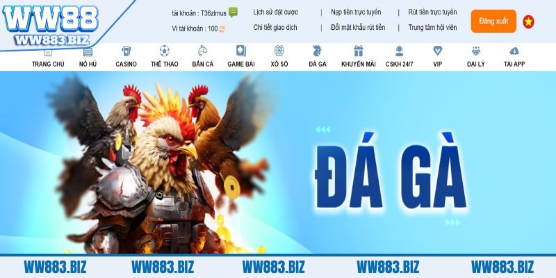da-ga-ww88-da-dang-ve-tat-ca-hinh-thuc-thi-dau